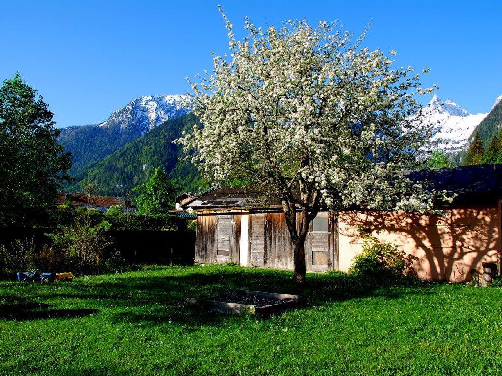 Appartamento Haus Stainer Lofer Esterno foto
